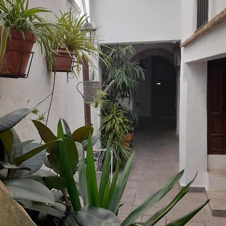 Apartamento En El Casco Historico 塔里法 外观 照片