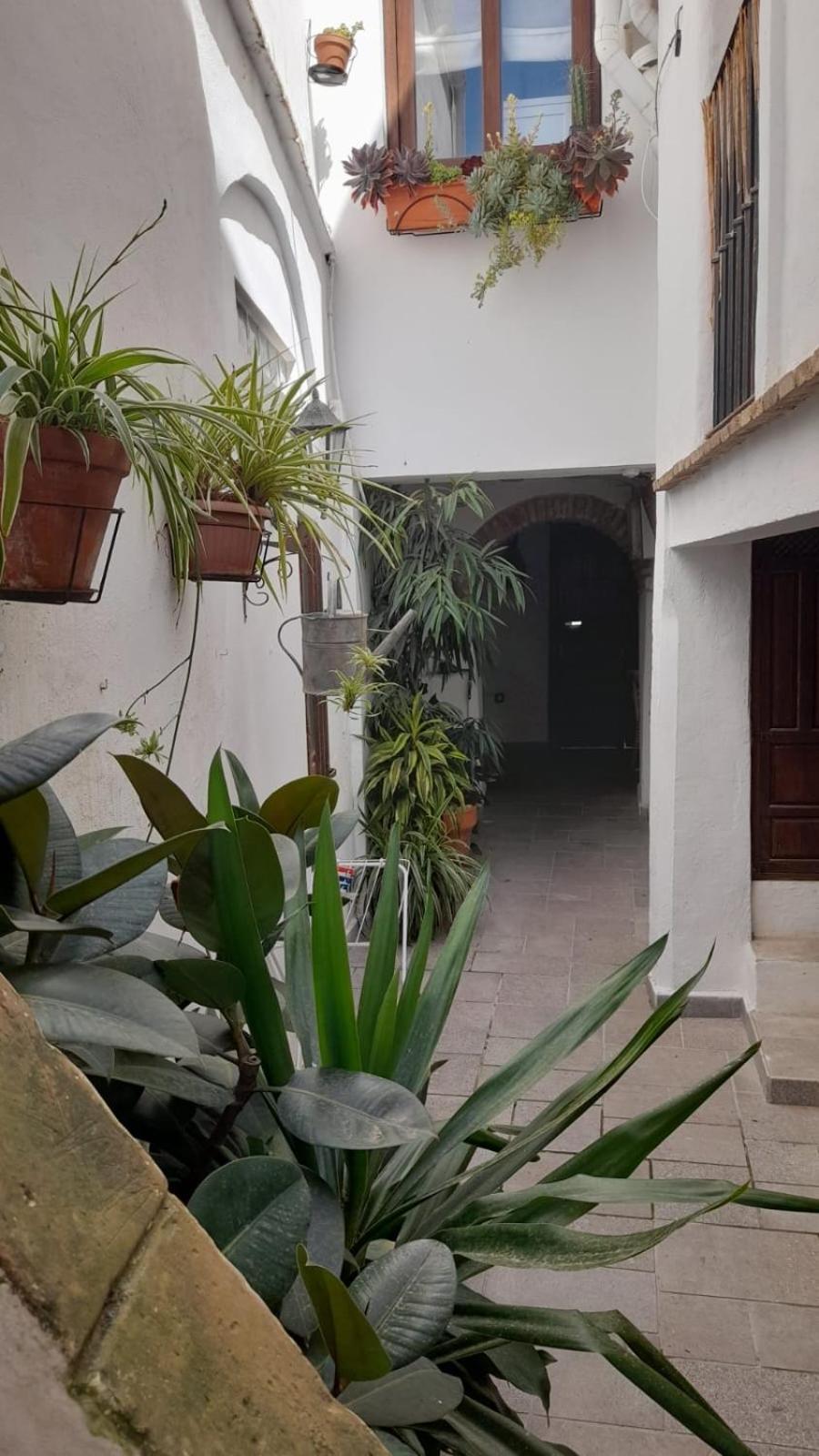 Apartamento En El Casco Historico 塔里法 外观 照片
